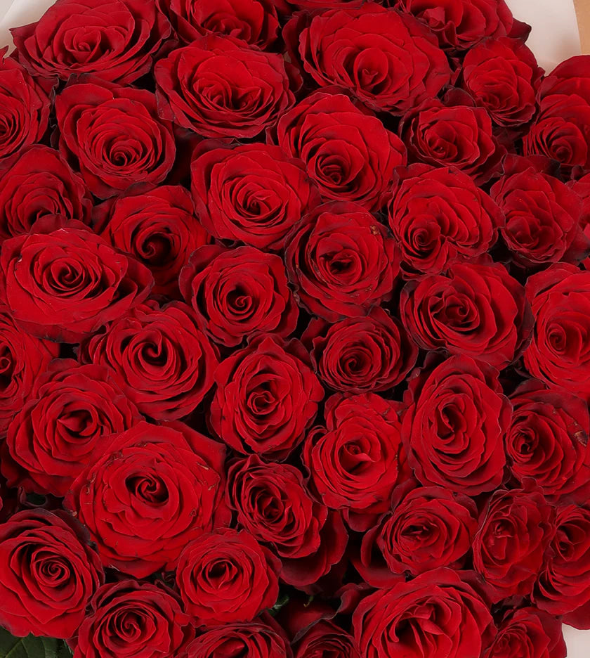 100 Premium Ecuadorian Red Roses Bouquet | The Grand Proposal Gift | 1 HOUR  BLACK
