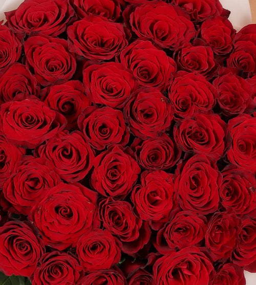 100 Premium Ecuadorian Red Roses Bouquet | The Grand Proposal Gift | 60 MINS