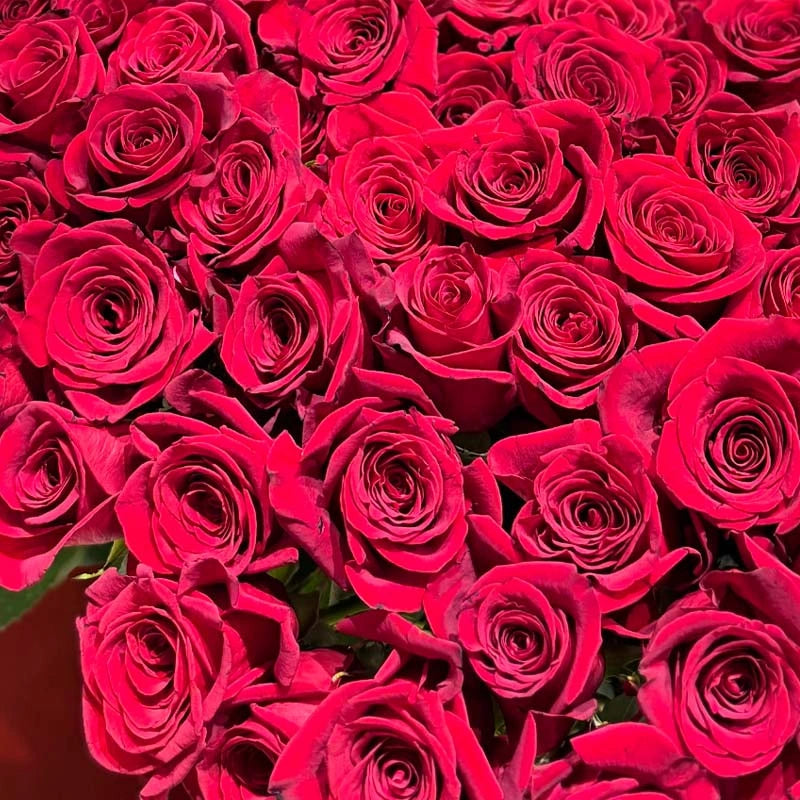 500 Luxury Red Roses Basket – Romantic Fresh Flower Arrangement Gift for Love & Special Occasions
